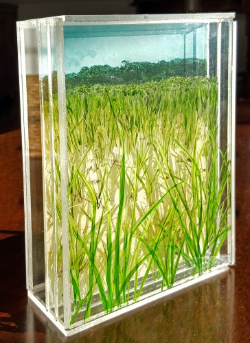 ©JessHurleyScott, art, fine artist