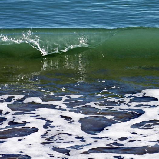 Jess Hurley Scott, Light Up the Night, SEF, Scituate Education Foundation, waves